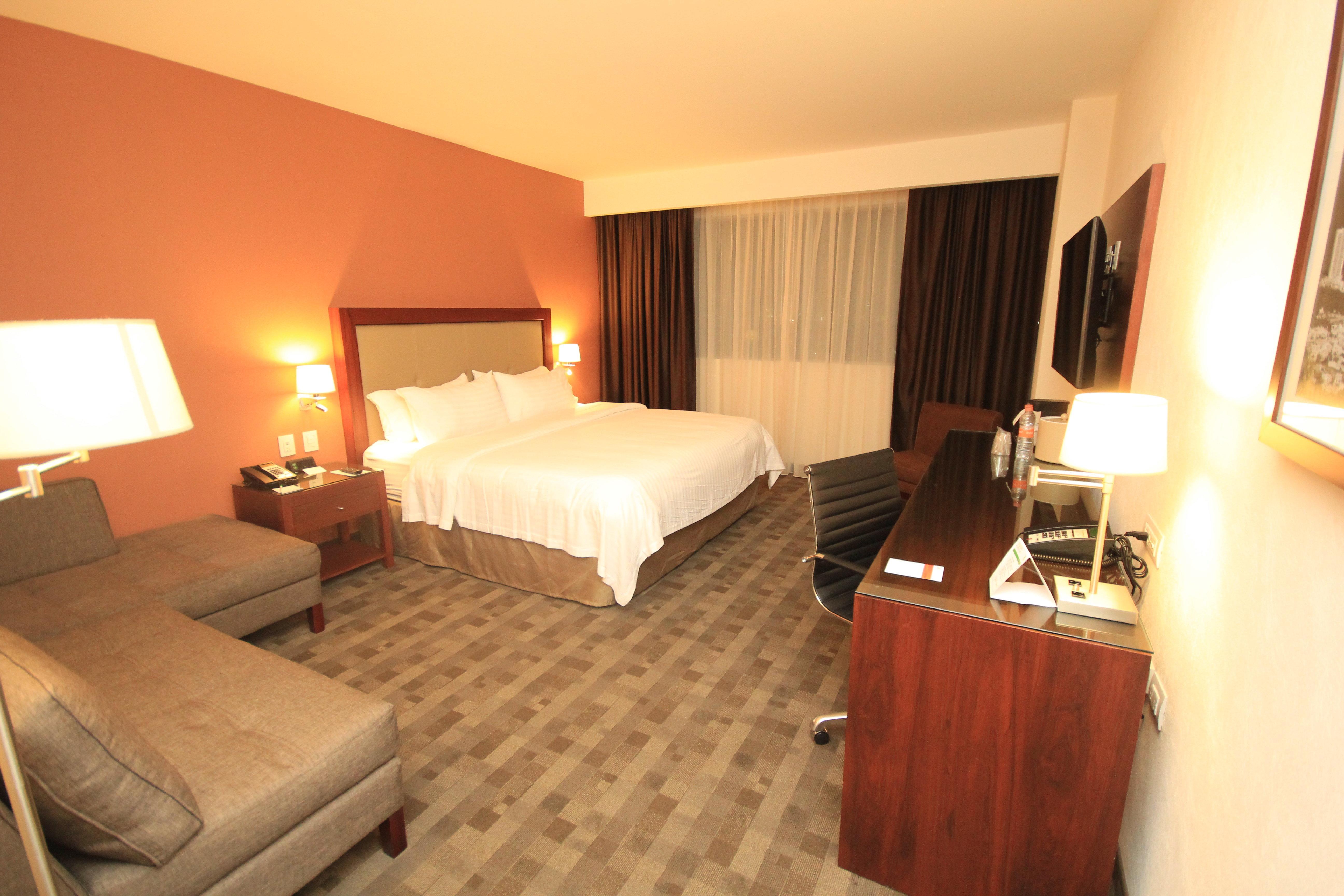 לאון Holiday Inn & Suites Plaza Mayor By Ihg מראה חיצוני תמונה