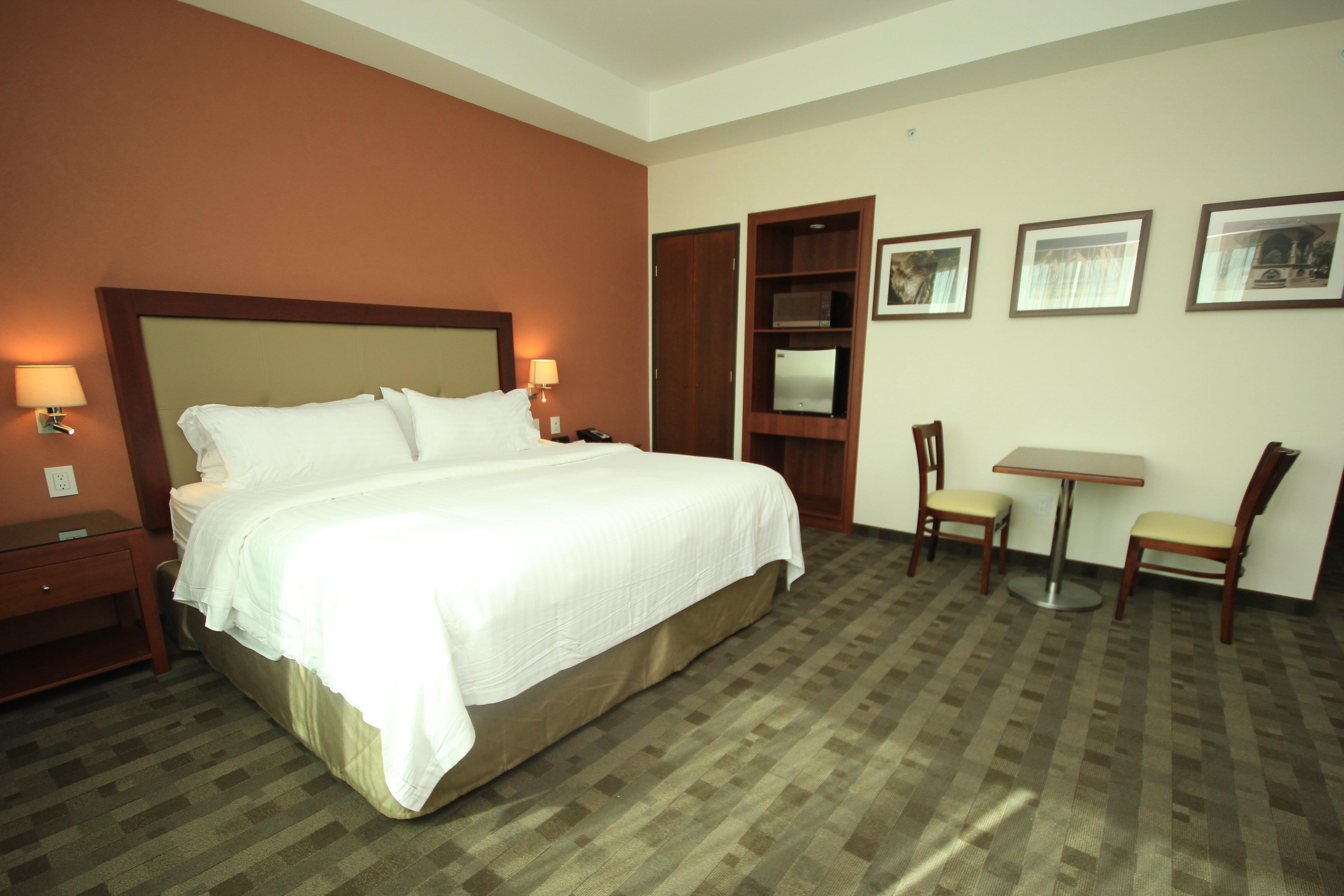 לאון Holiday Inn & Suites Plaza Mayor By Ihg מראה חיצוני תמונה
