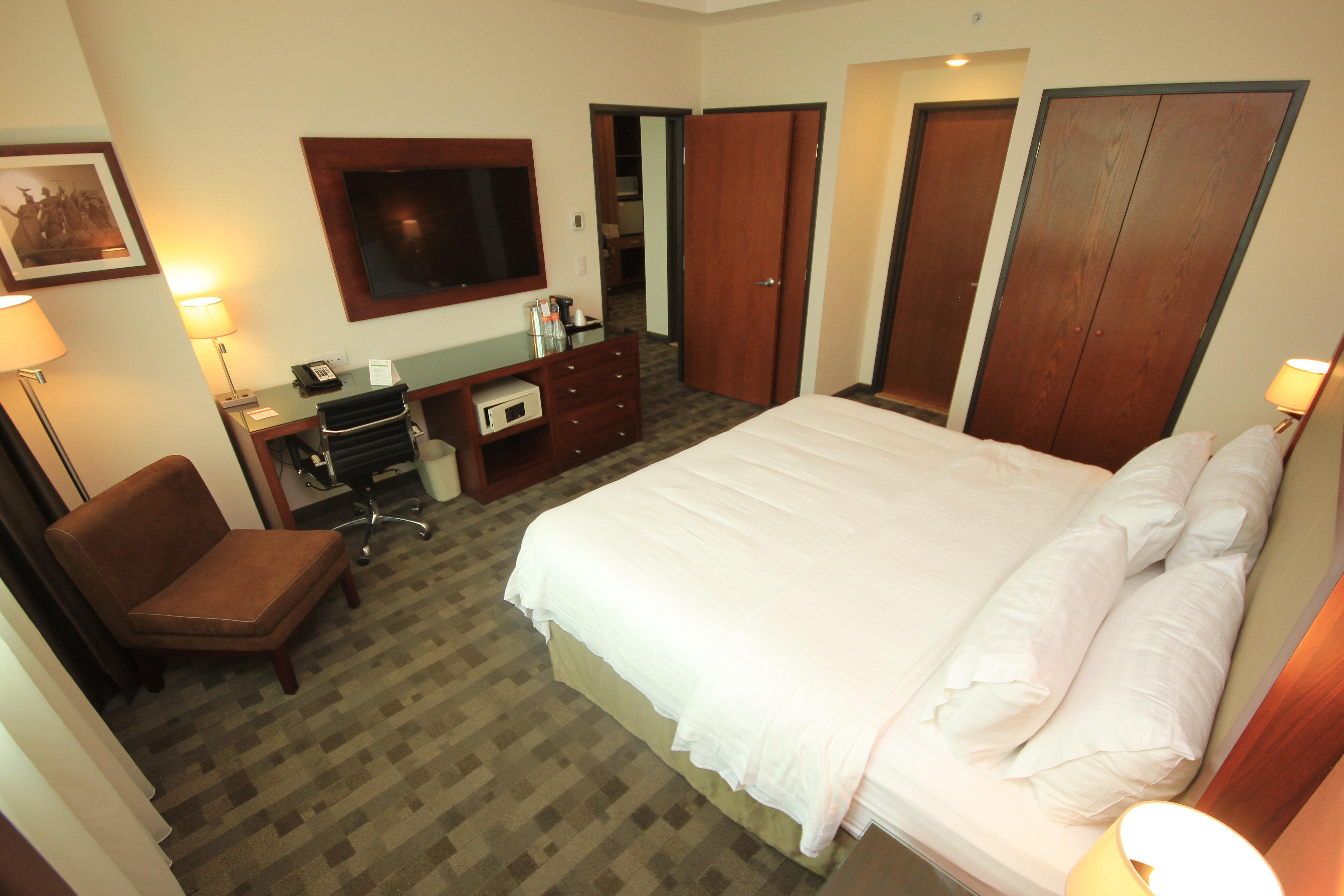 לאון Holiday Inn & Suites Plaza Mayor By Ihg מראה חיצוני תמונה